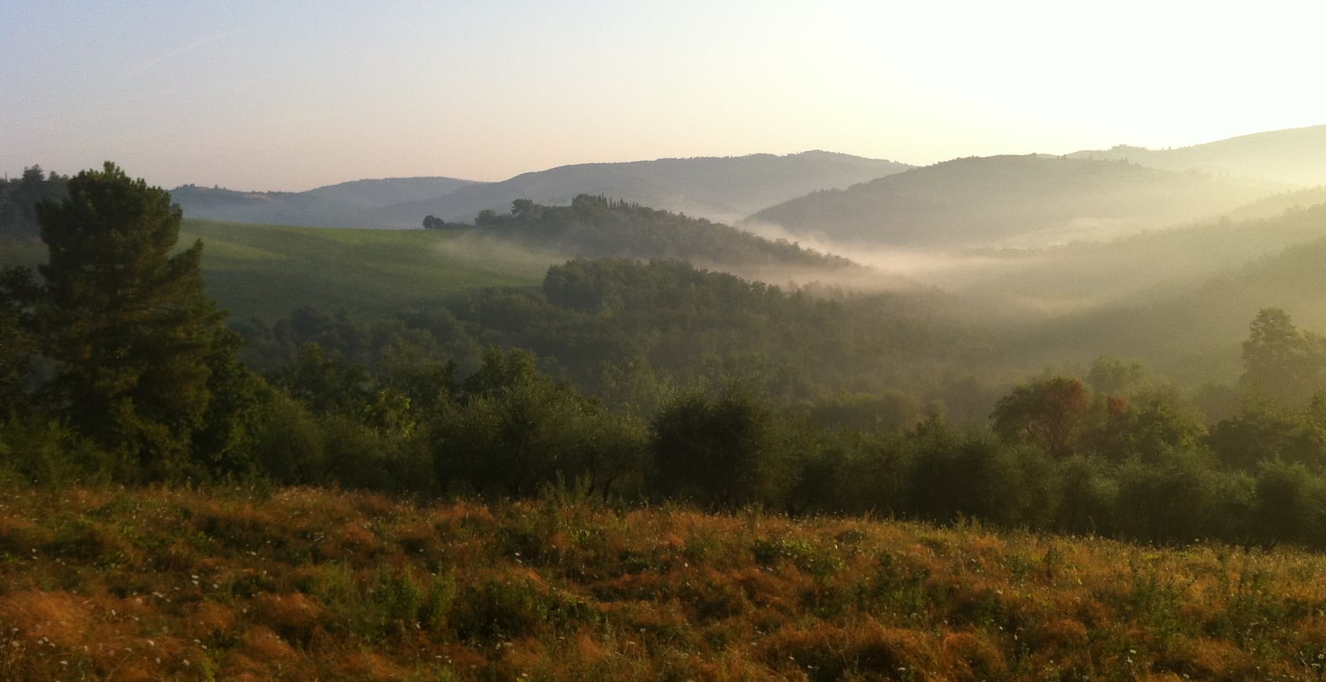 Agricampeggio L'Apicorno nel Chianti